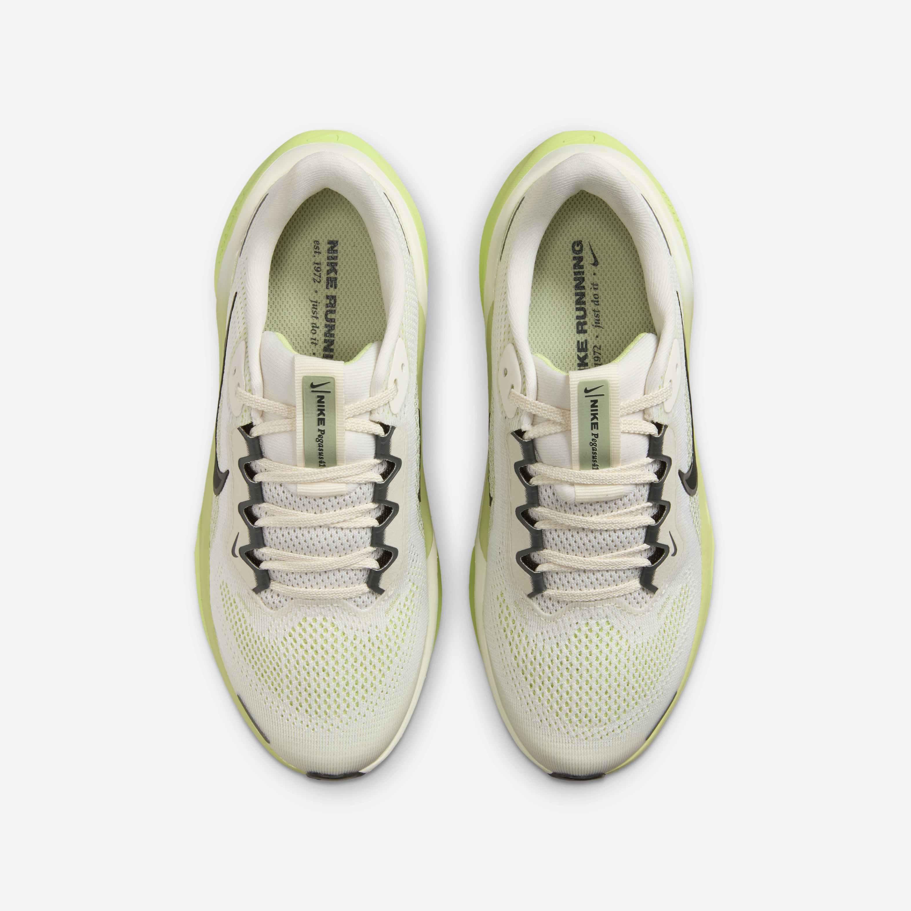 نايكي بيجاسوس 41 image number 3