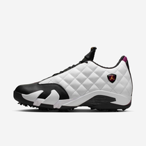Air Jordan 14 G