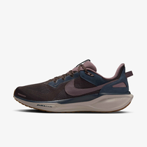 Nike Air Zoom Pegasus 41 SP