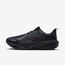 Nike Pegasus 42 GORE-TEX