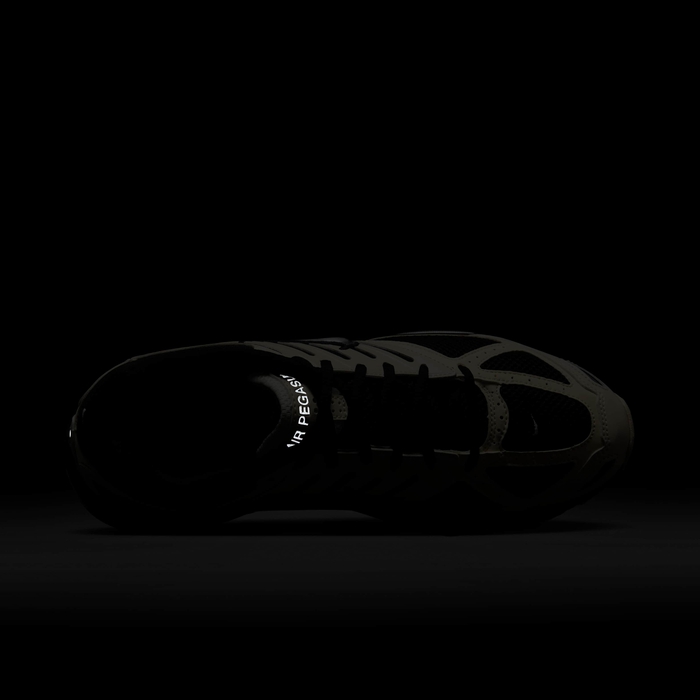 نايكي اير بيجاسوس 2005 image number 8 نايكي اير بيجاسوس 2005 image number 8