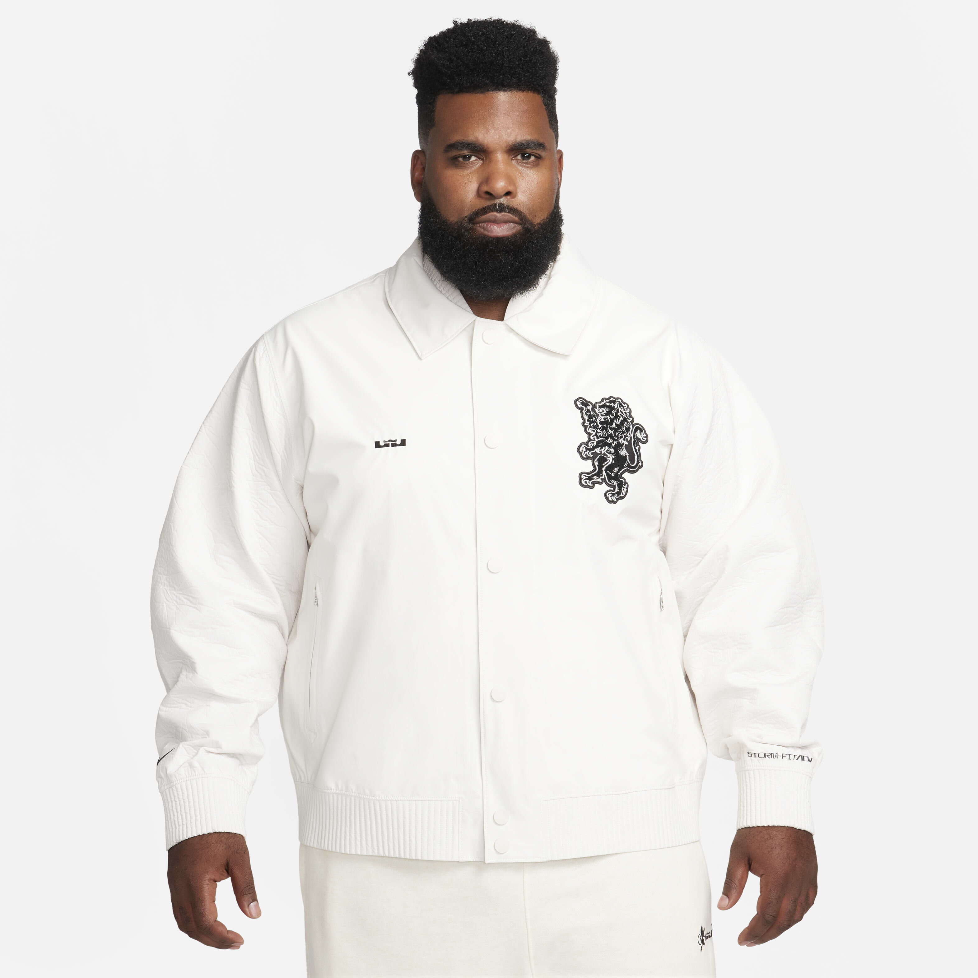 LeBron image number 9