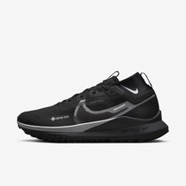 Nike Pegasus Trail 4 GORE-TEX