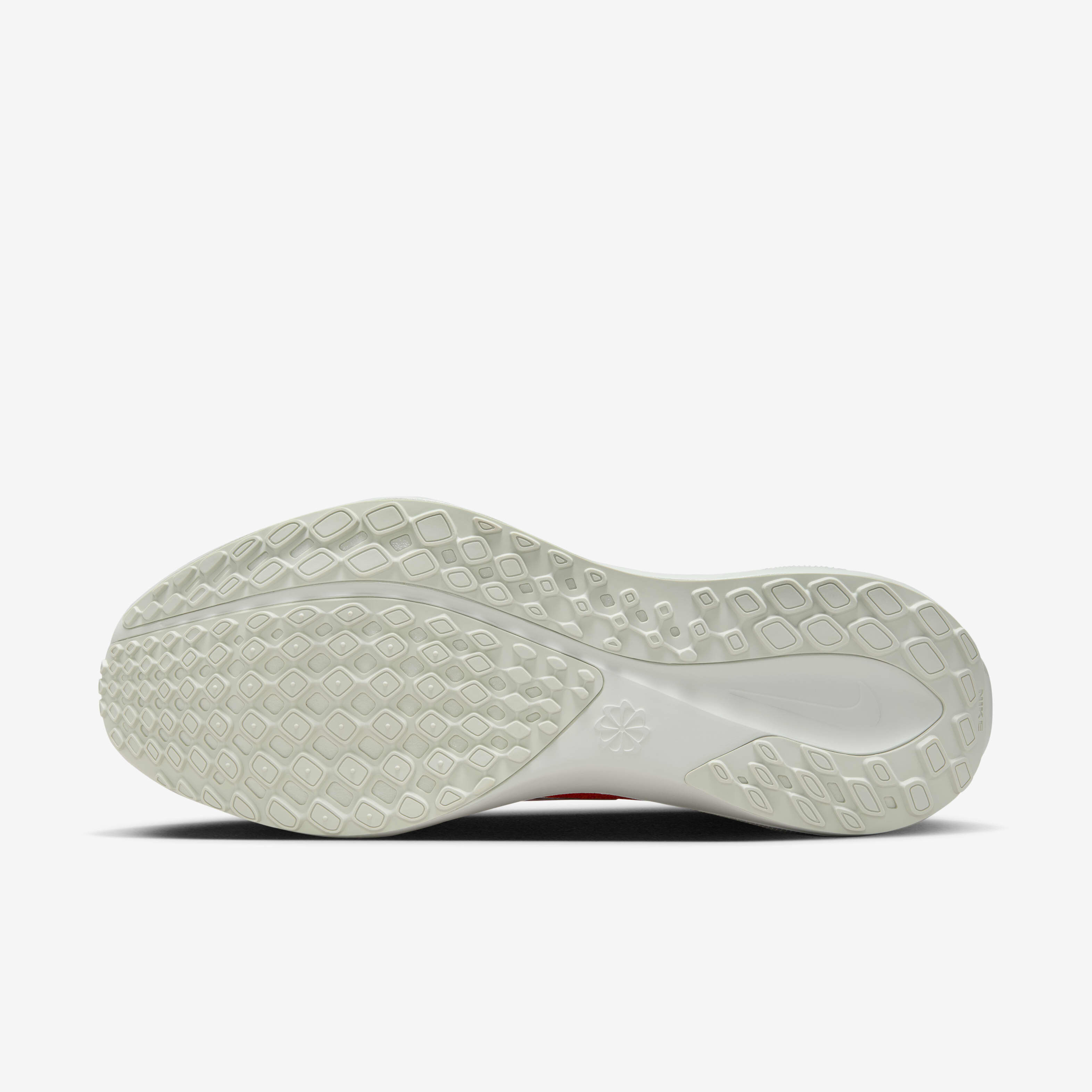 نايكي بيجاسوس 41 بريميوم image number 1