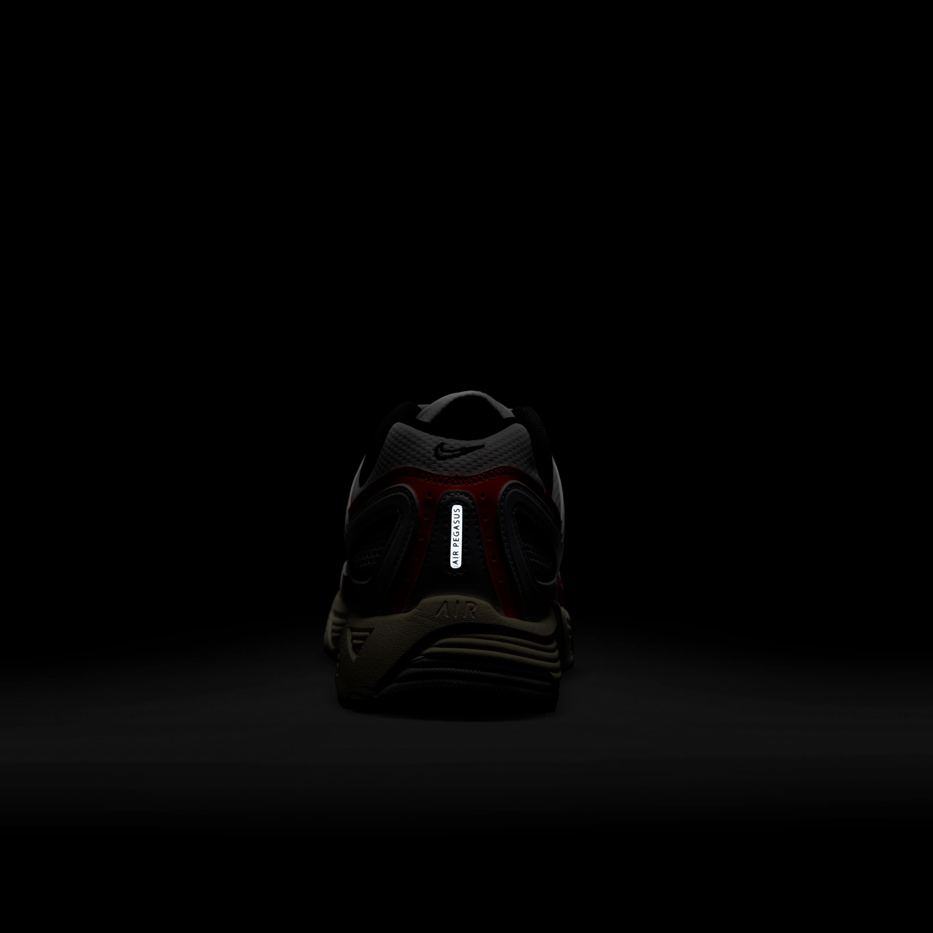 نايكي اير بيجاسوس 2005 image number 8