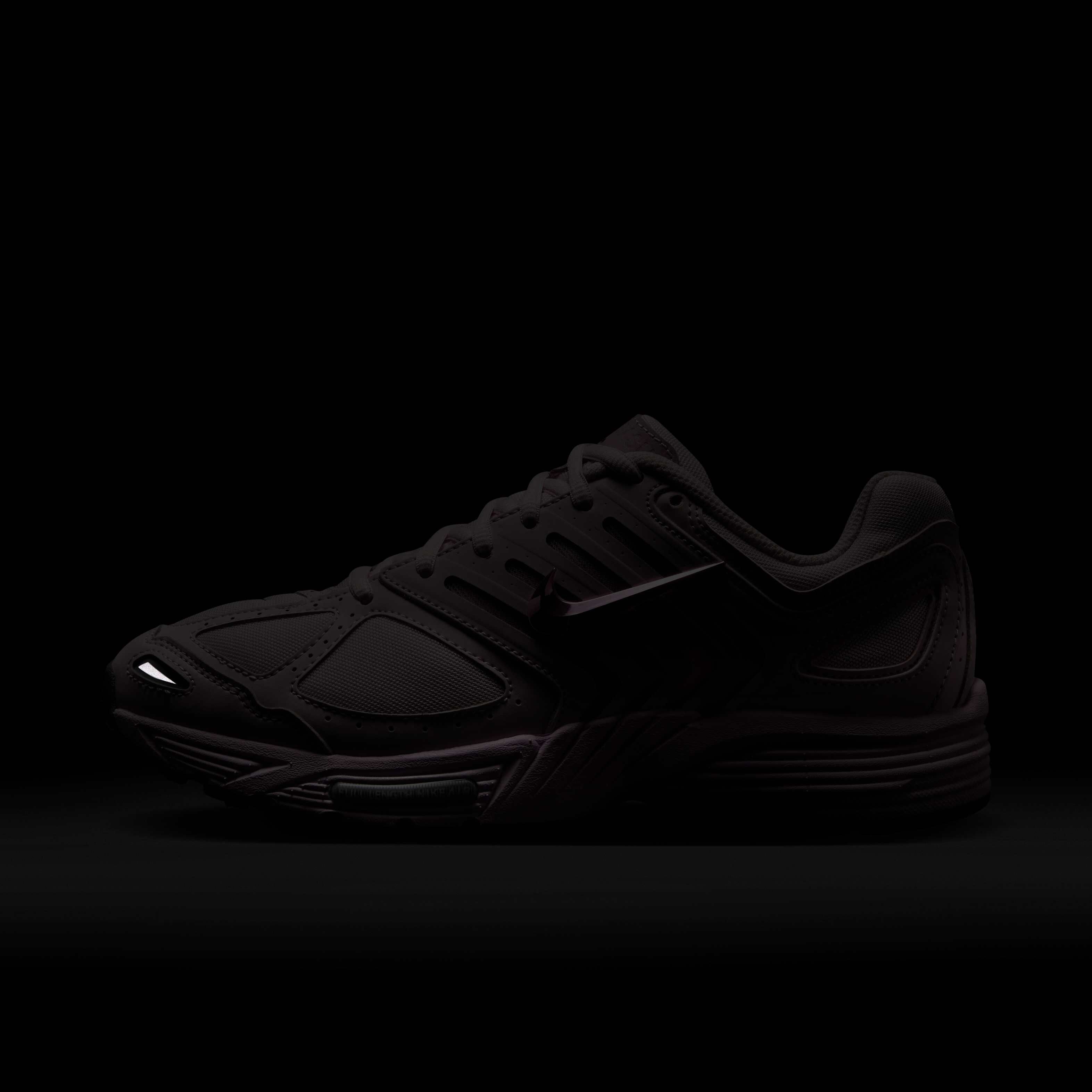 نايكي اير بيجاسوس 2005 image number 9