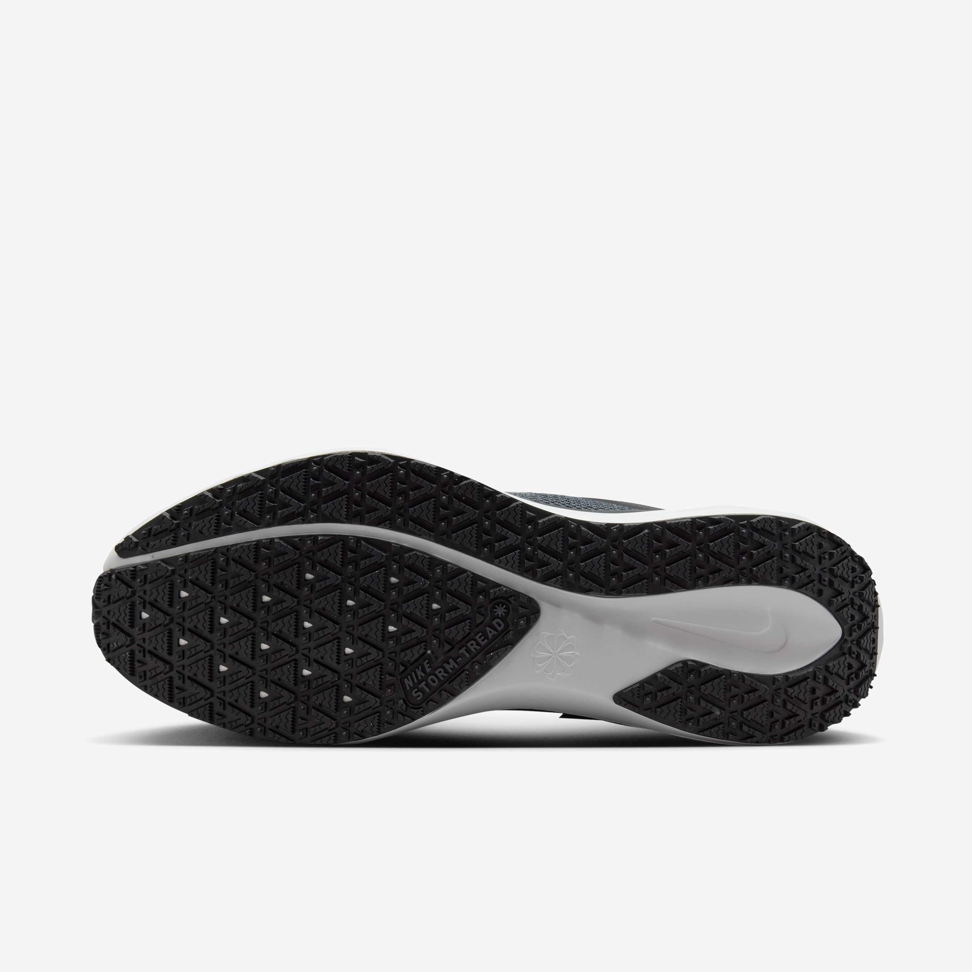 Nike Pegasus 41 GORE-TEX image number 1