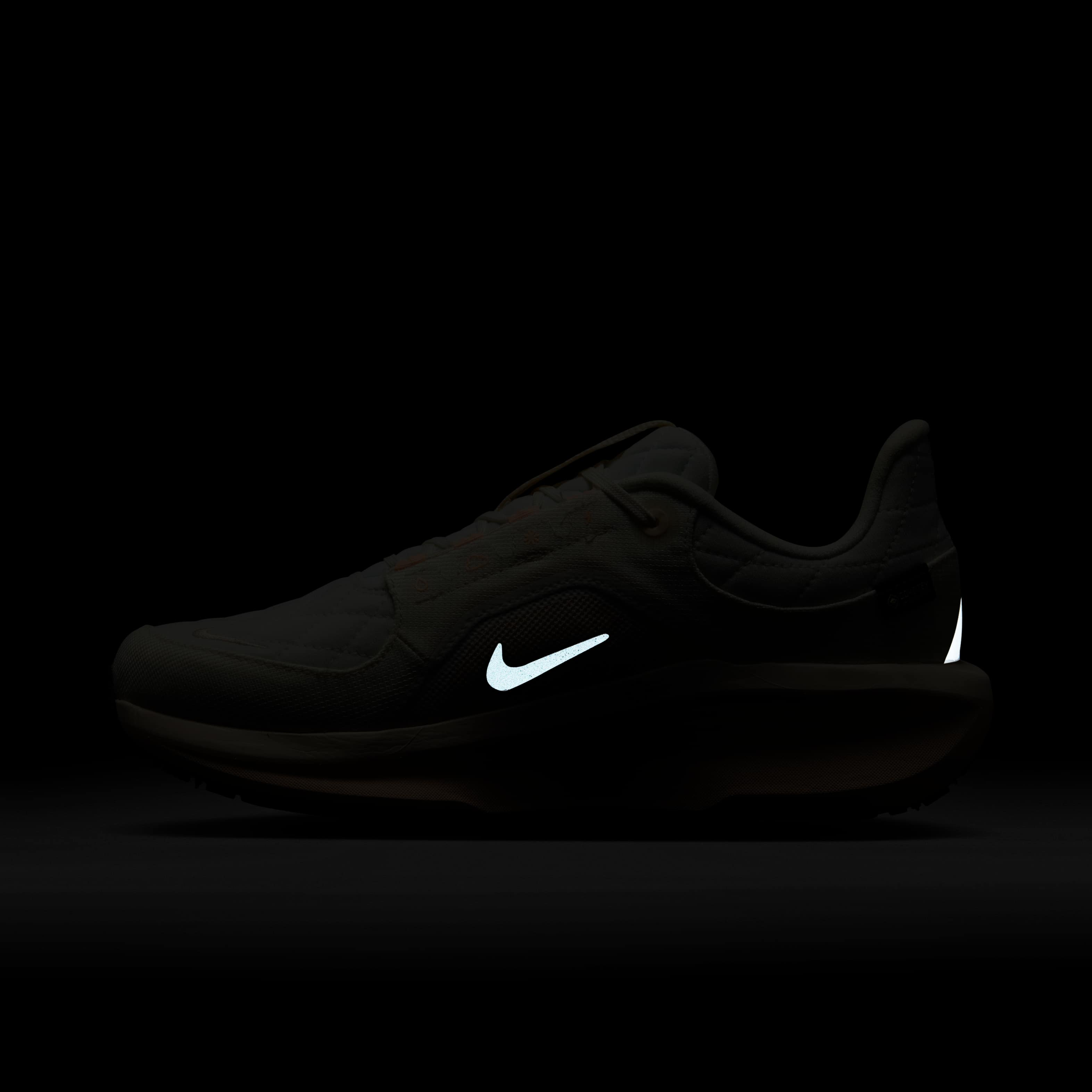 Nike Winflo 11 GORE-TEX image number 10