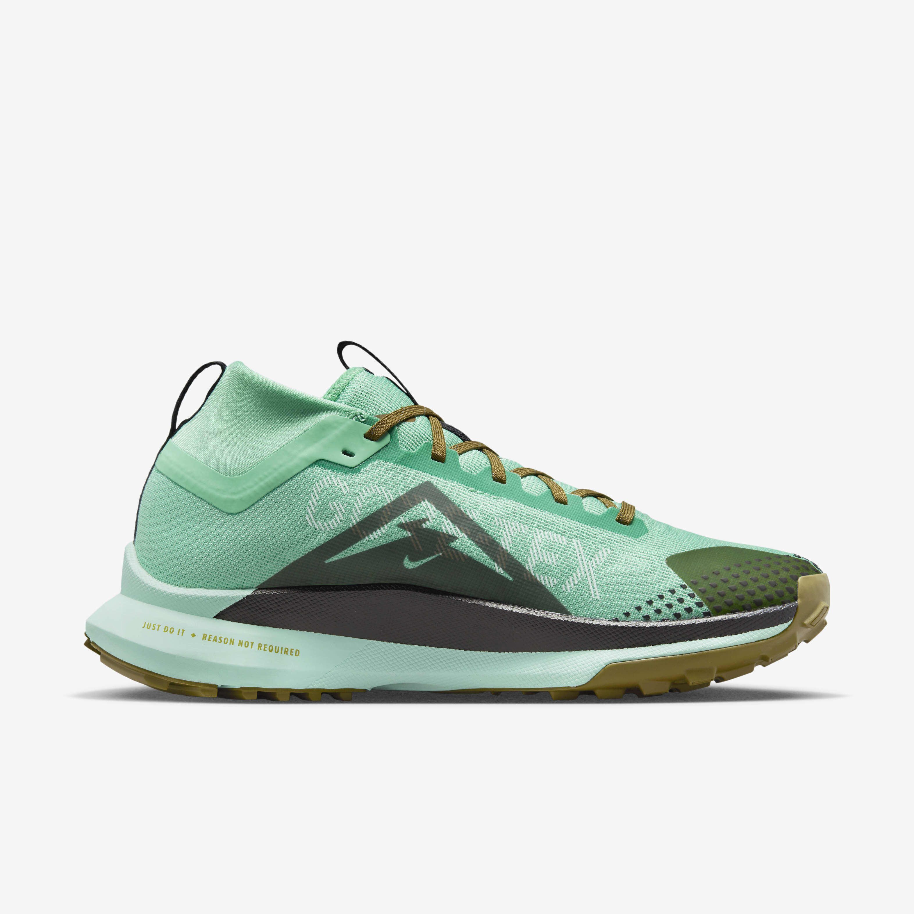 Nike Pegasus Trail 4 GORE-TEX image number 2
