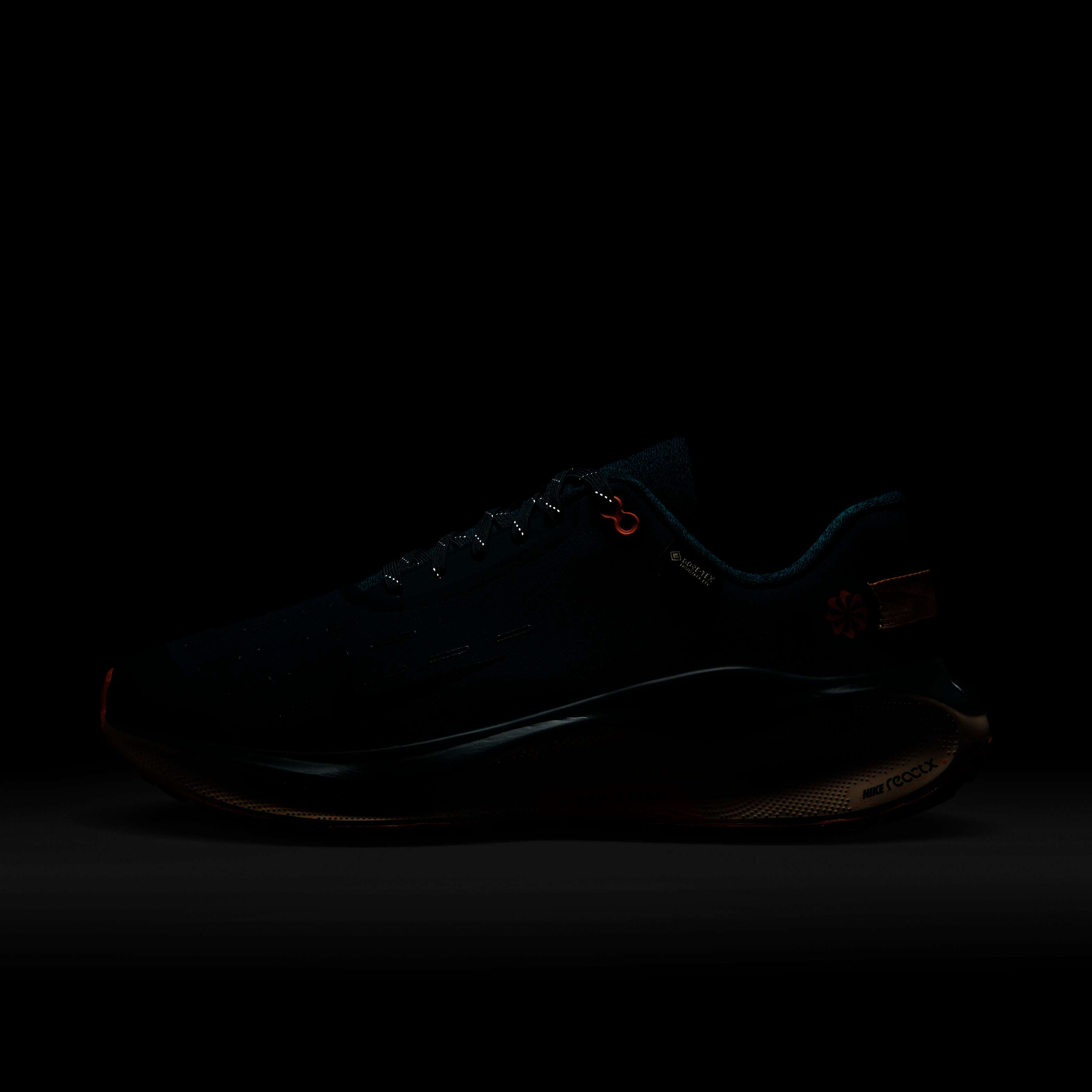 Nike InfinityRN 4 GORE-TEX image number 10
