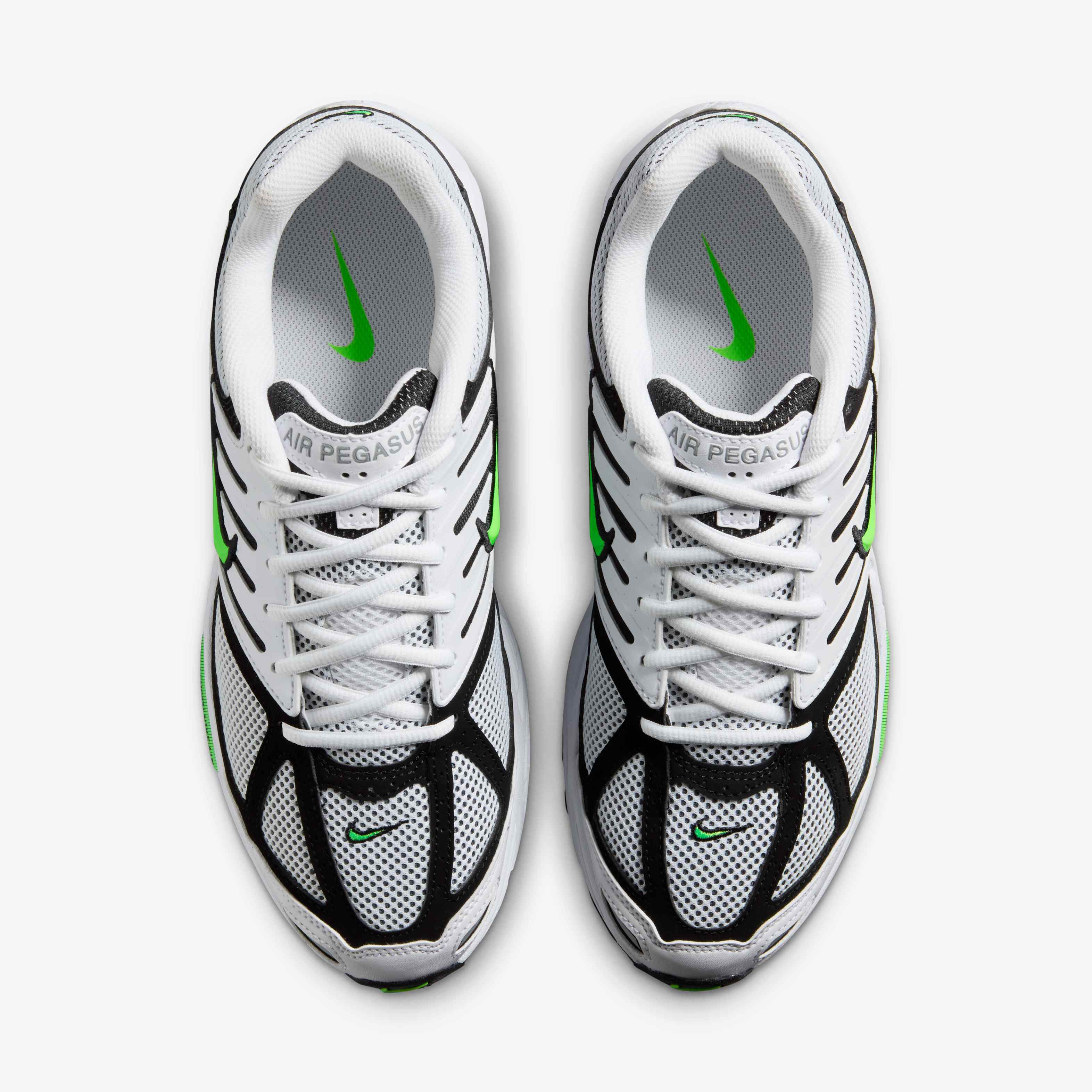 نايكي اير بيجاسوس 2005 image number 3