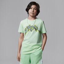 جوردن دراي-فت