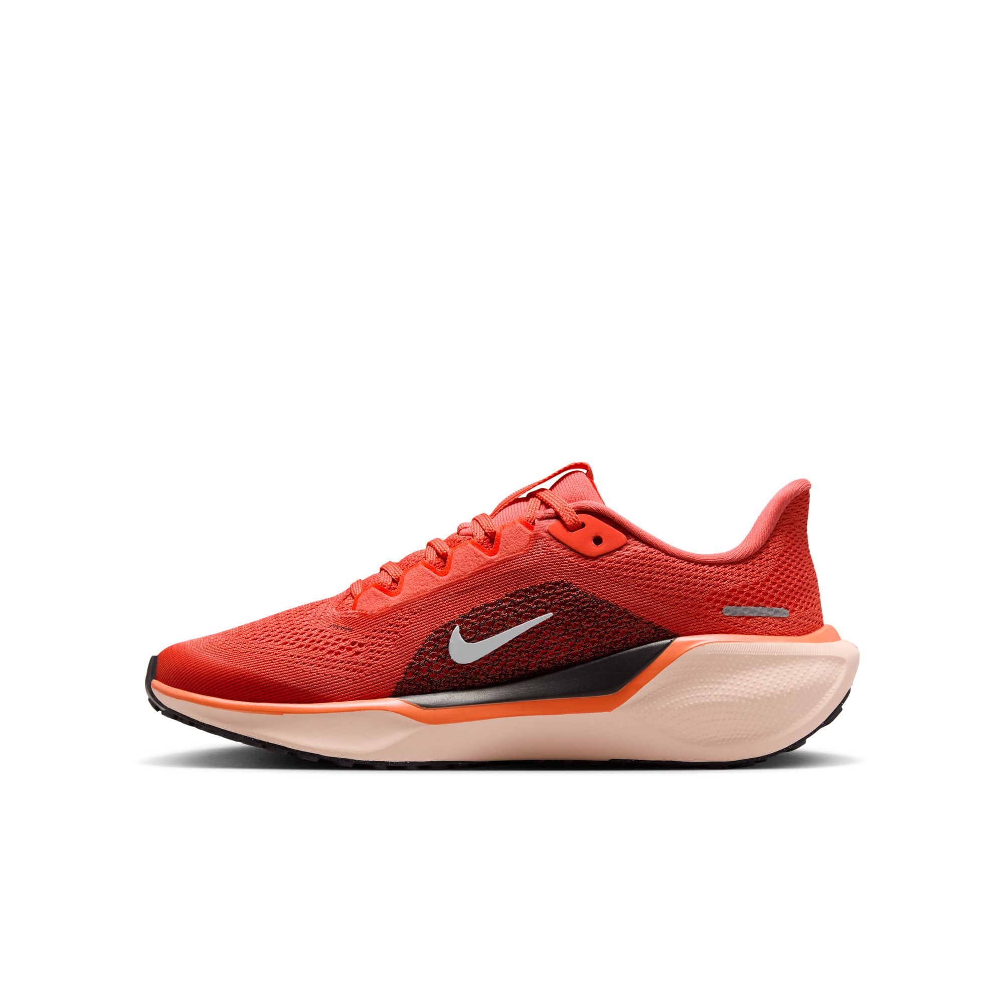 Nike Pegasus 41