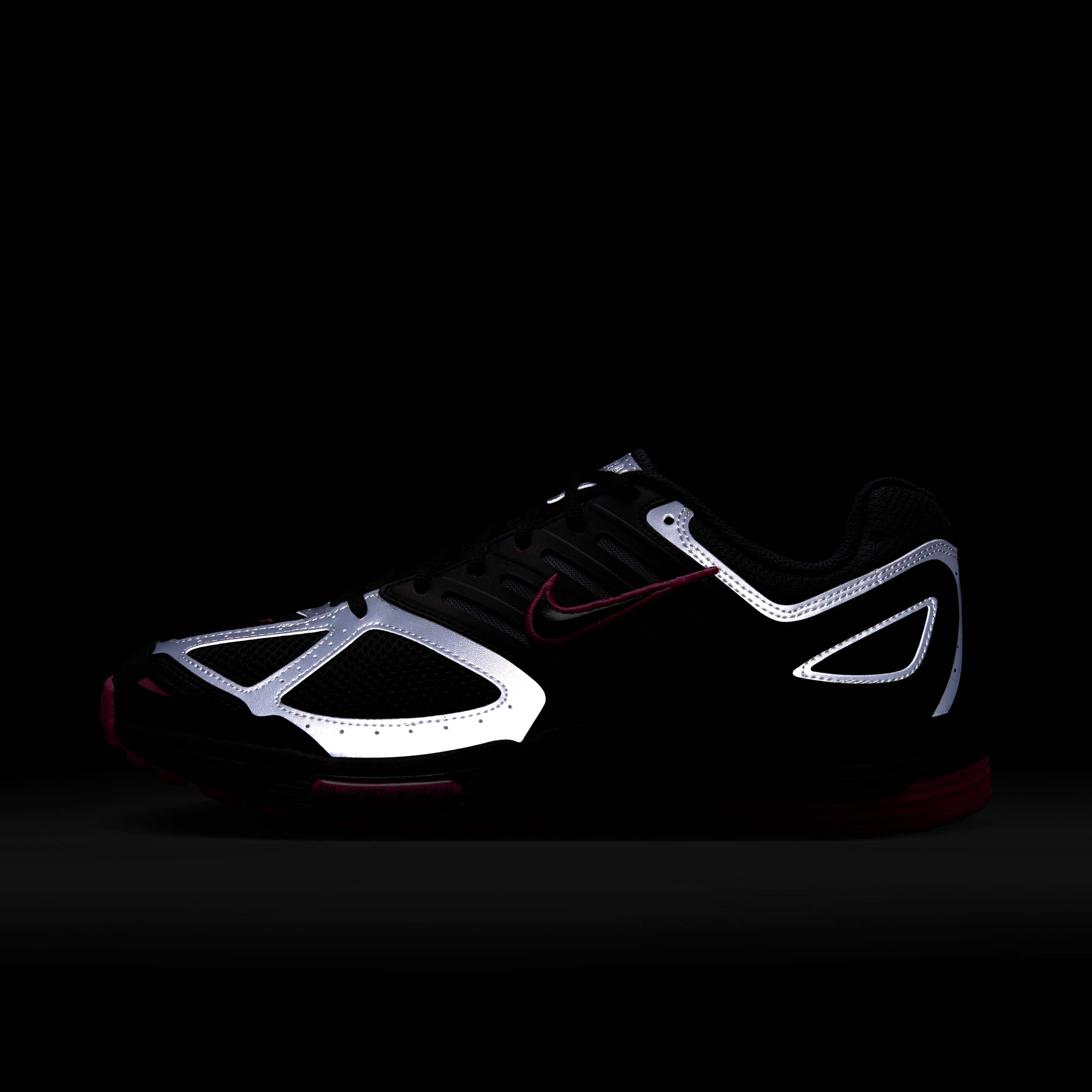 نايكي اير بيجاسوس 2005 image number 10