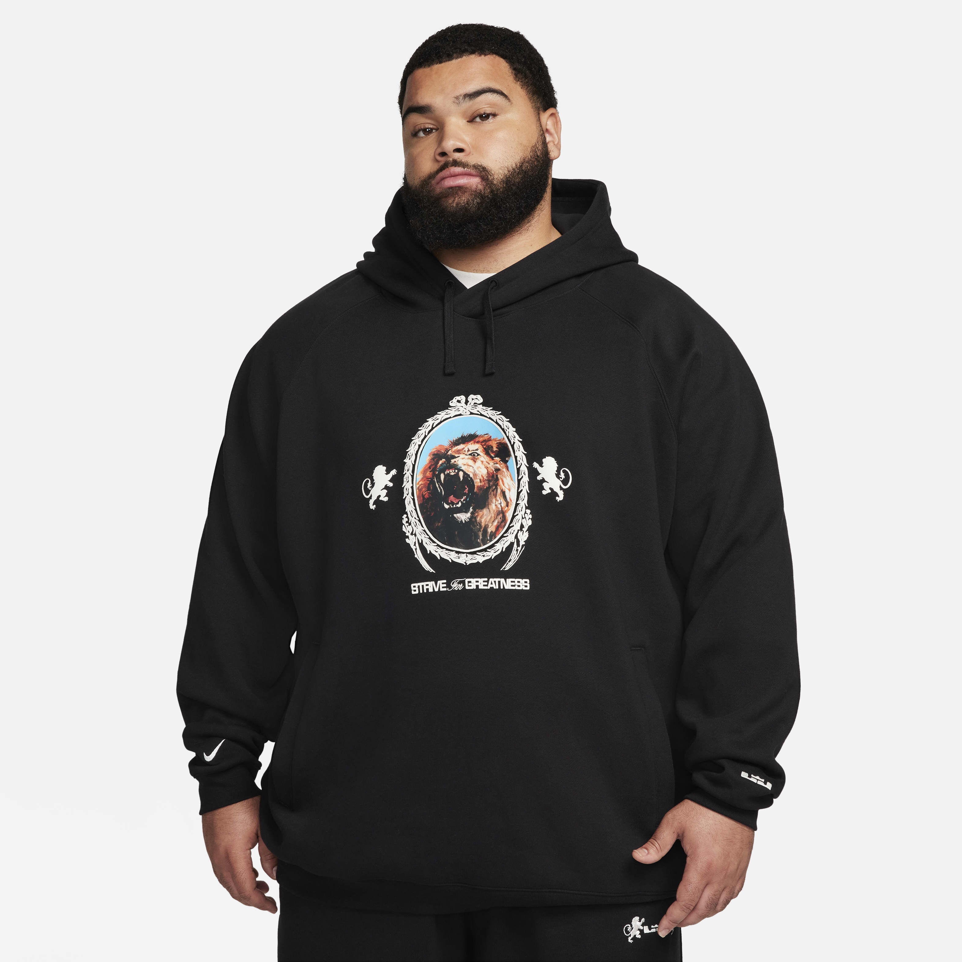 LeBron image number 9