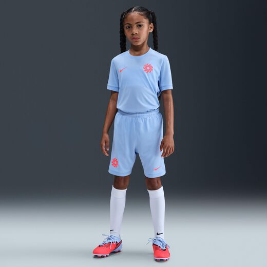 إيرلينج هالاند أكاديمي