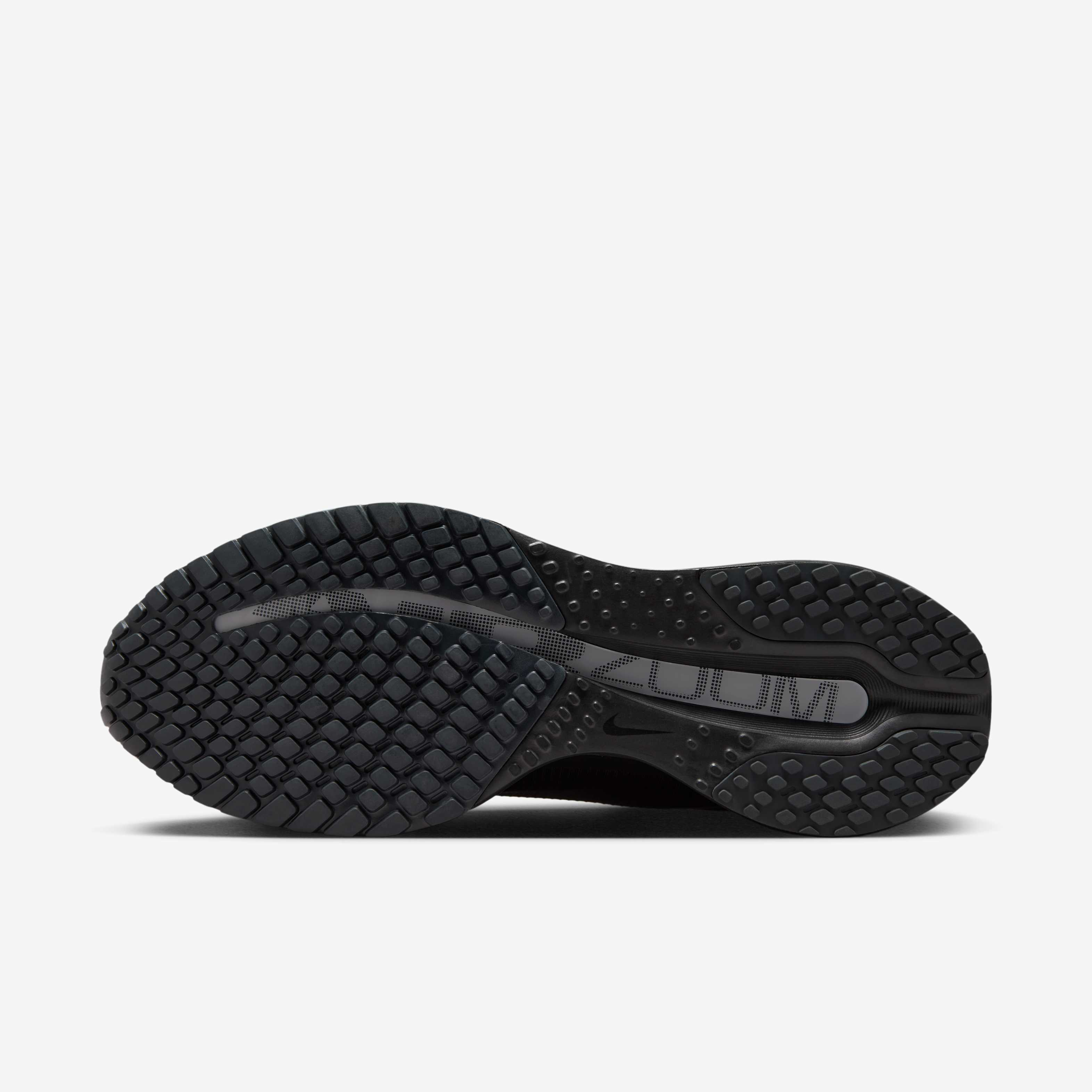 Nike Pegasus Premium SP image number 1