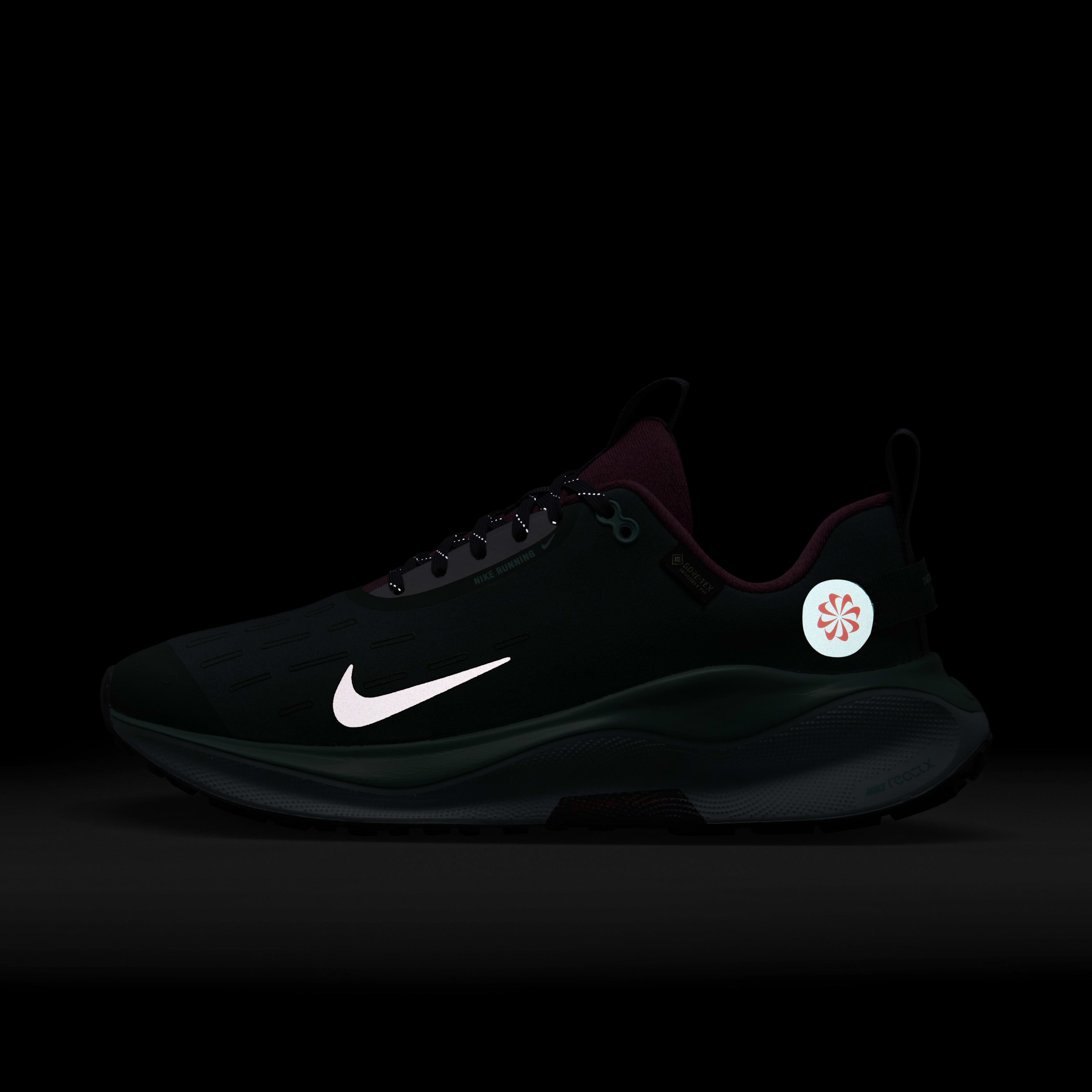 Nike InfinityRN 4 GORE-TEX image number 10