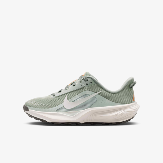 Sports Store-Nike, Nike ACG Pegasus Trail, Older Kids' Running Shoes