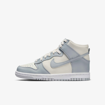 Nike Dunk High