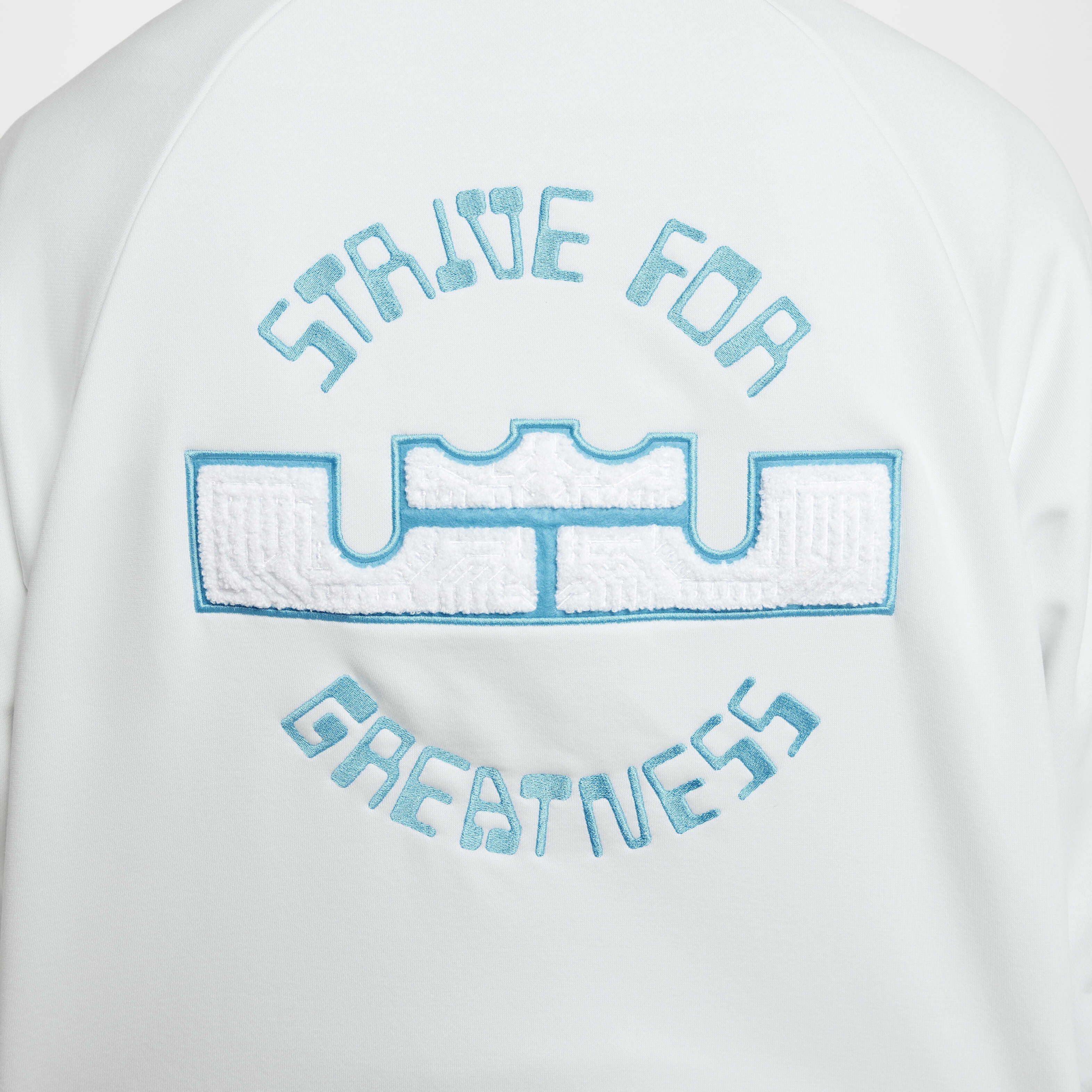 LeBron Standard Issue image number 9