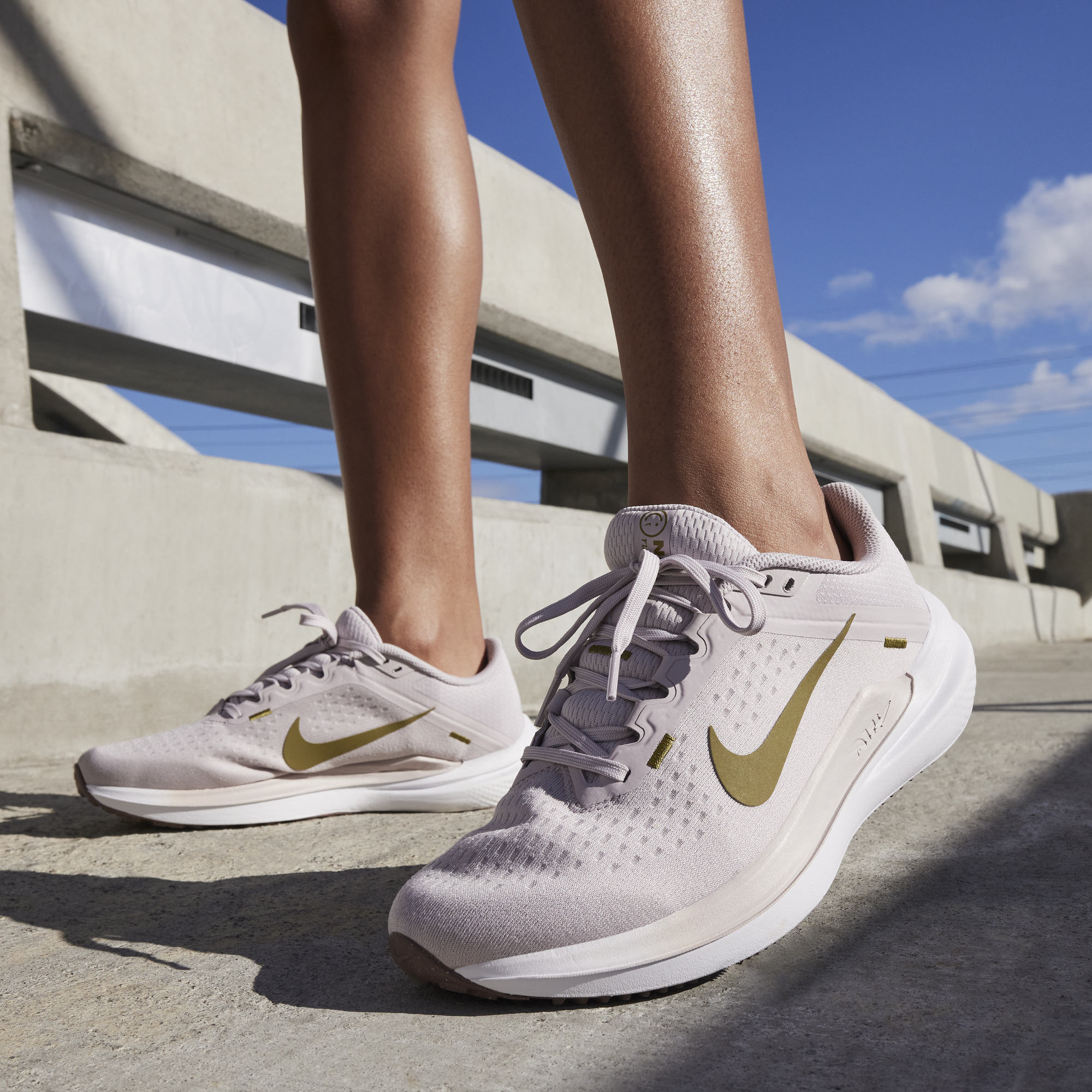 Nike Winflo 10