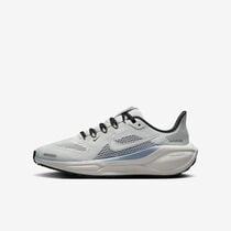 Nike Pegasus 41