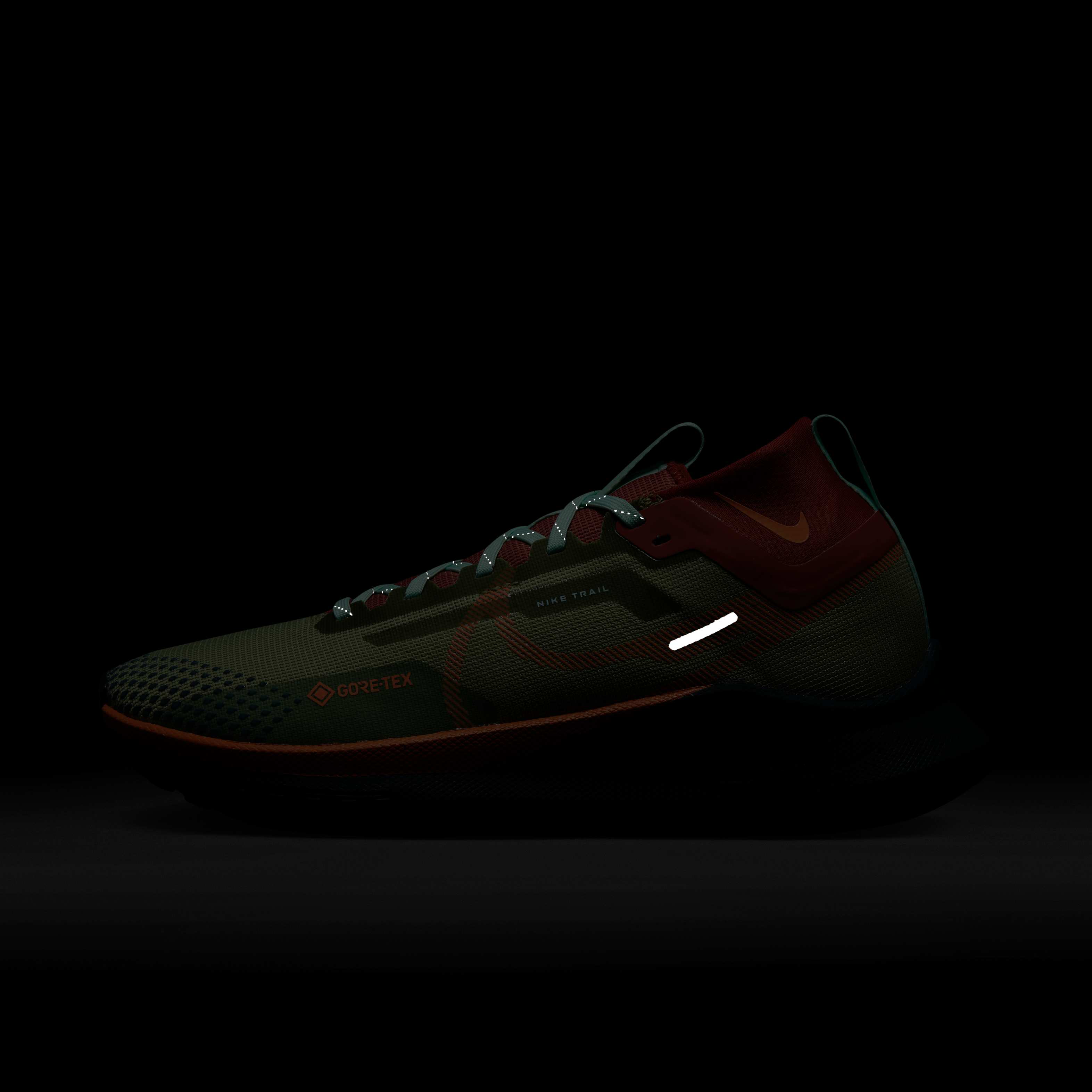 Nike Pegasus Trail 4 GORE-TEX image number 9
