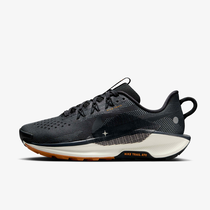 Nike Pegasus Trail 5