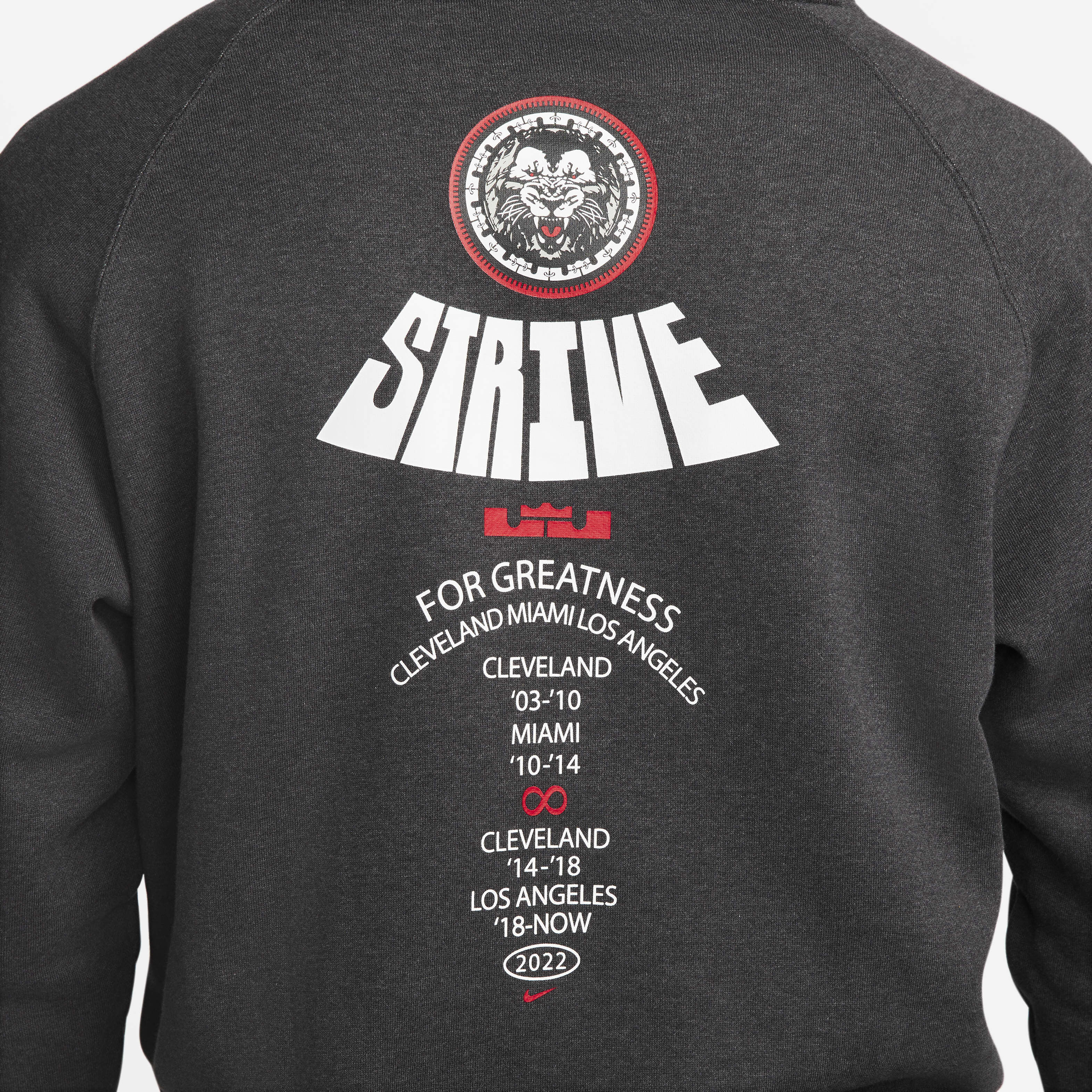 LeBron image number 4