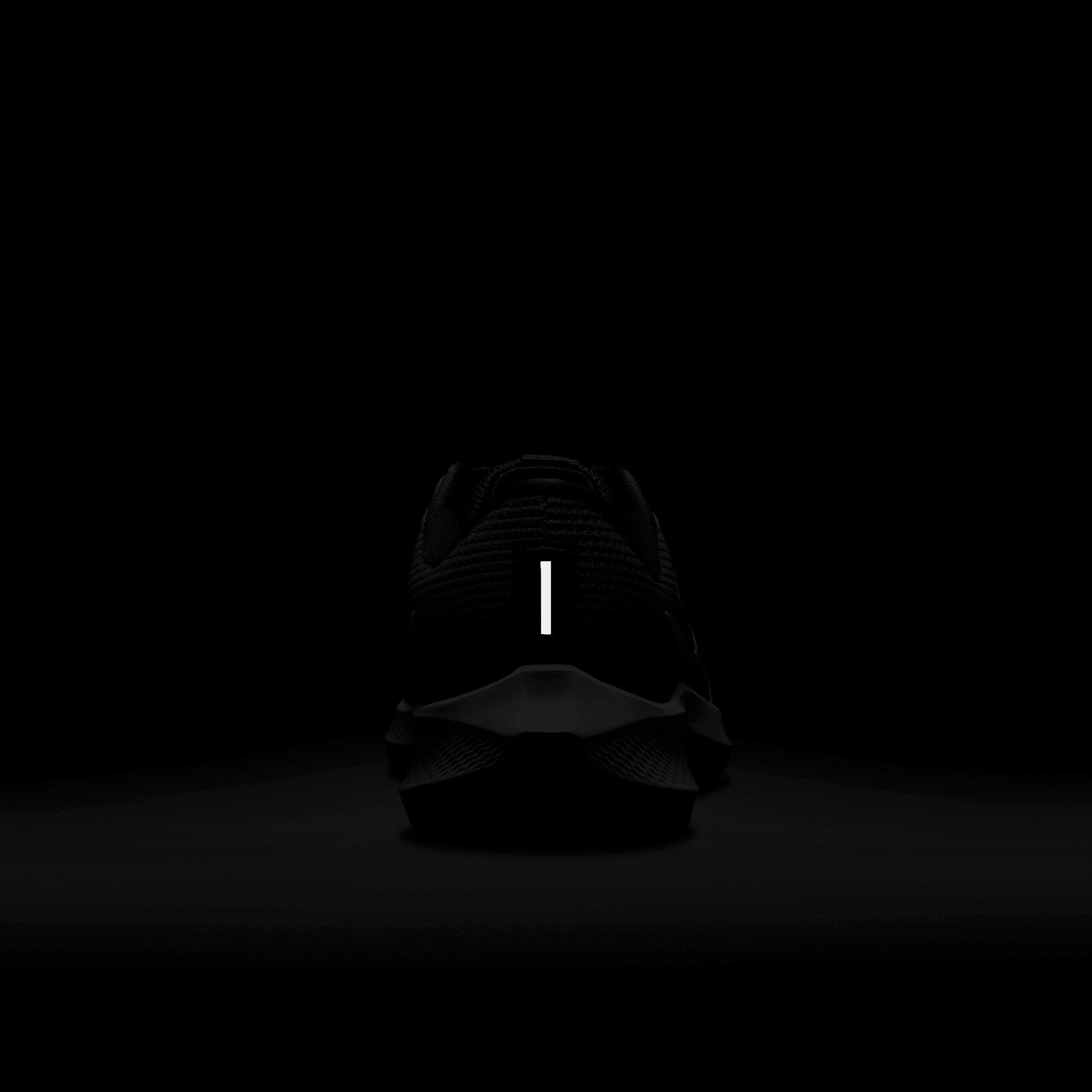 نايكي بيجاسوس 40 image number 4