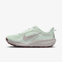 Nike ACG Pegasus Trail
