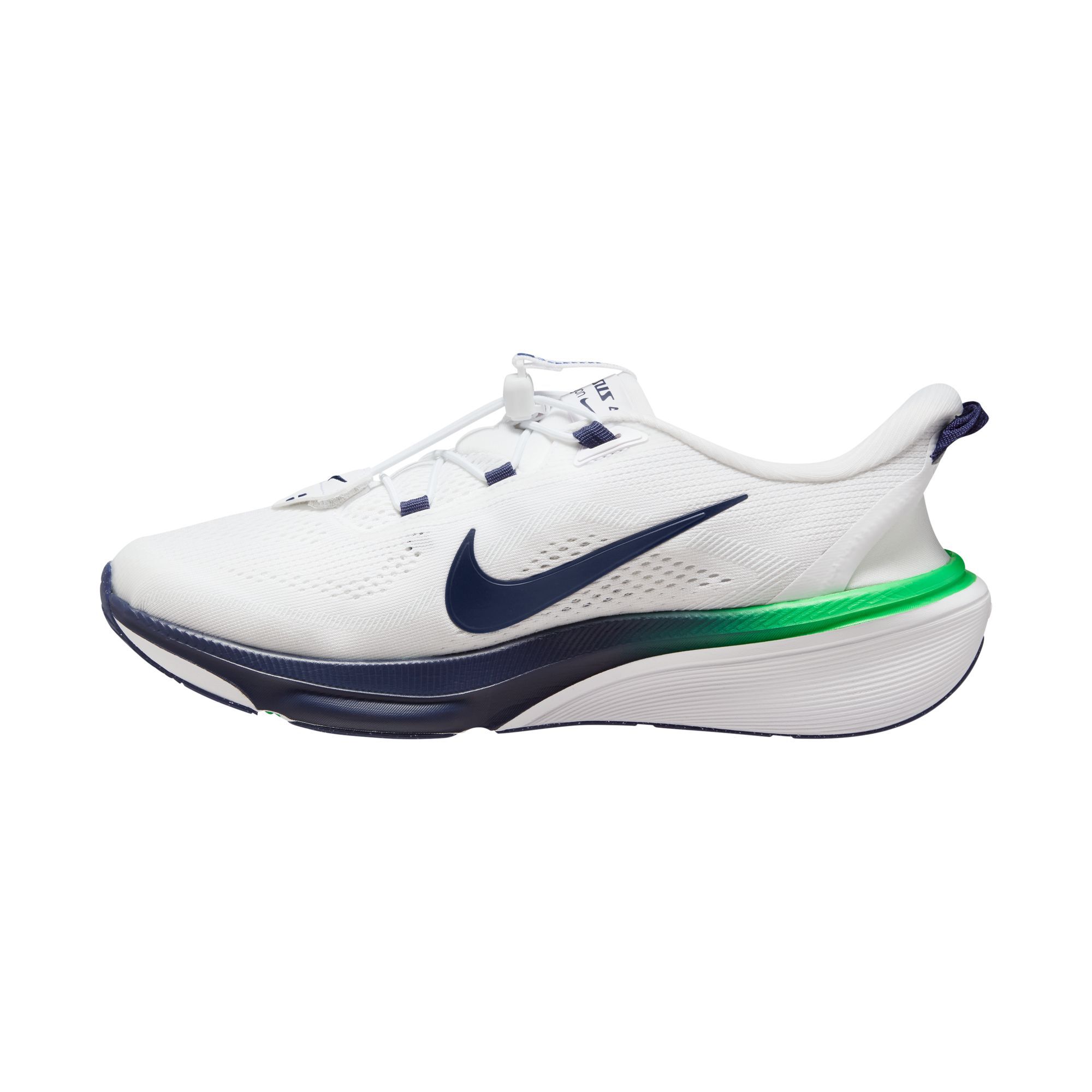 Nike Pegasus 42 EasyOn image number 1