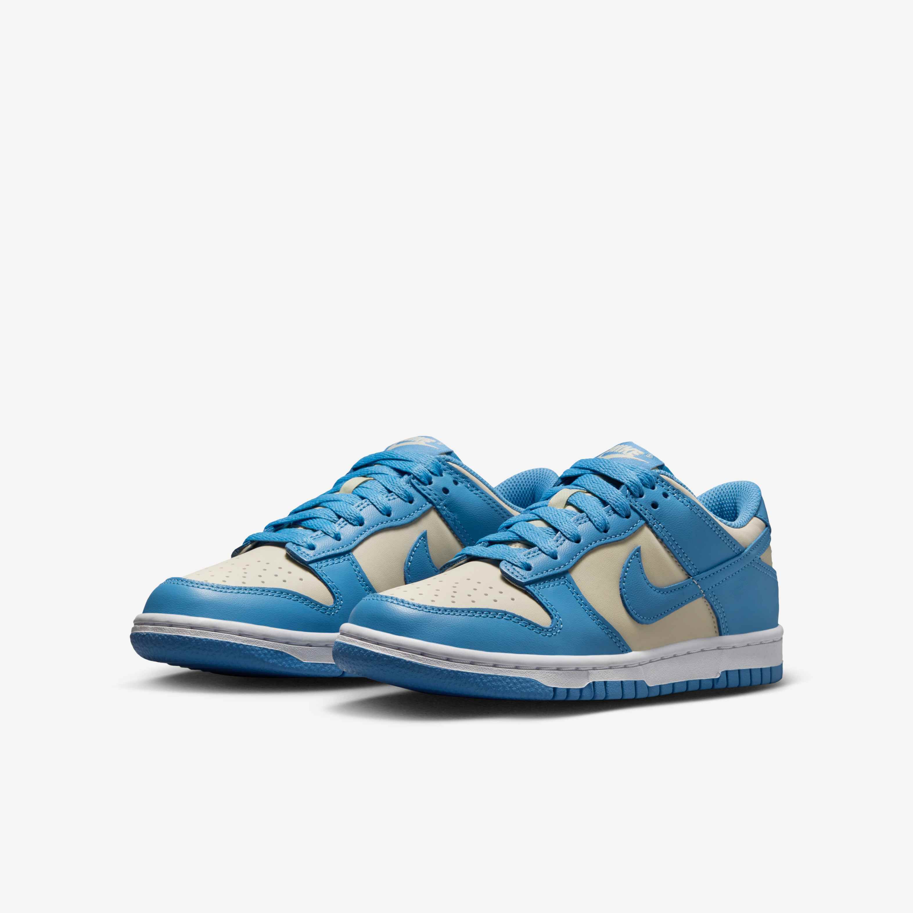 nike dunk low coast snkrs
