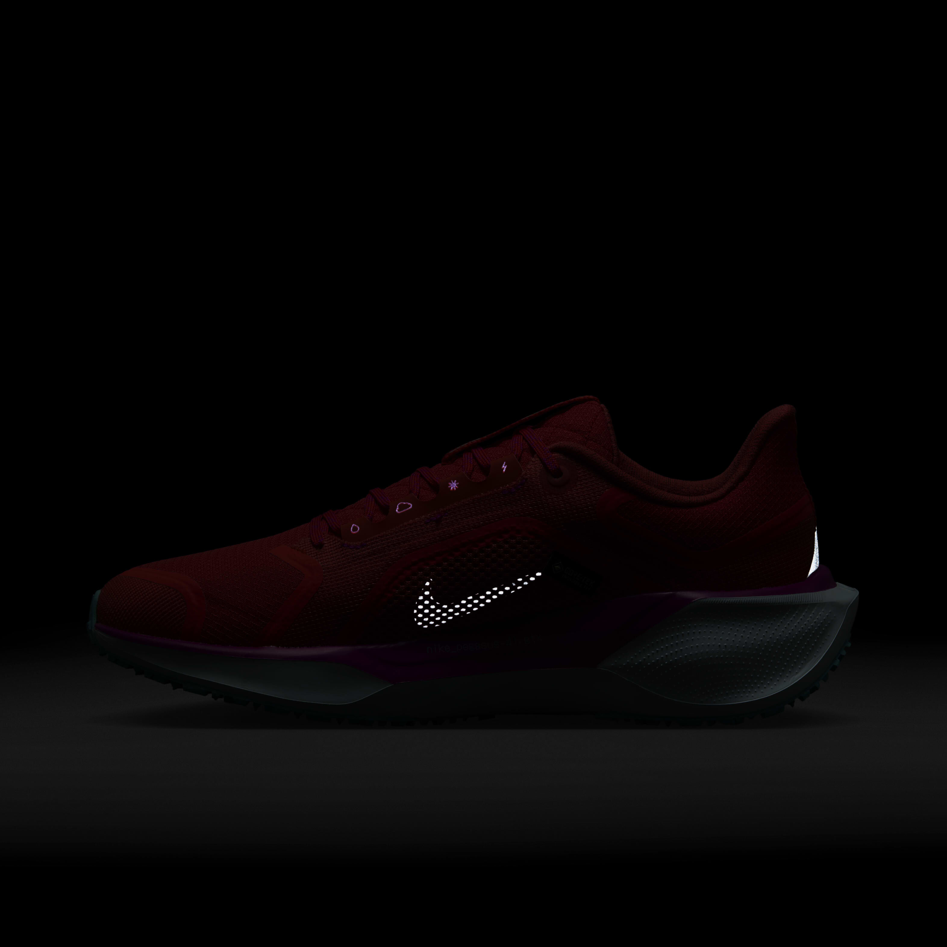 Nike Pegasus 41 GORE-TEX image number 10