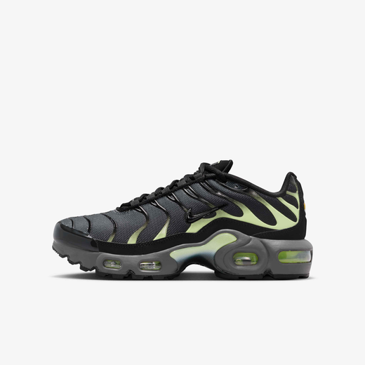 Nike Air Max Plus
