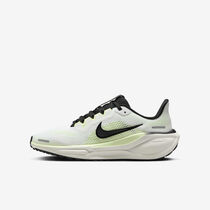 Nike Pegasus 41