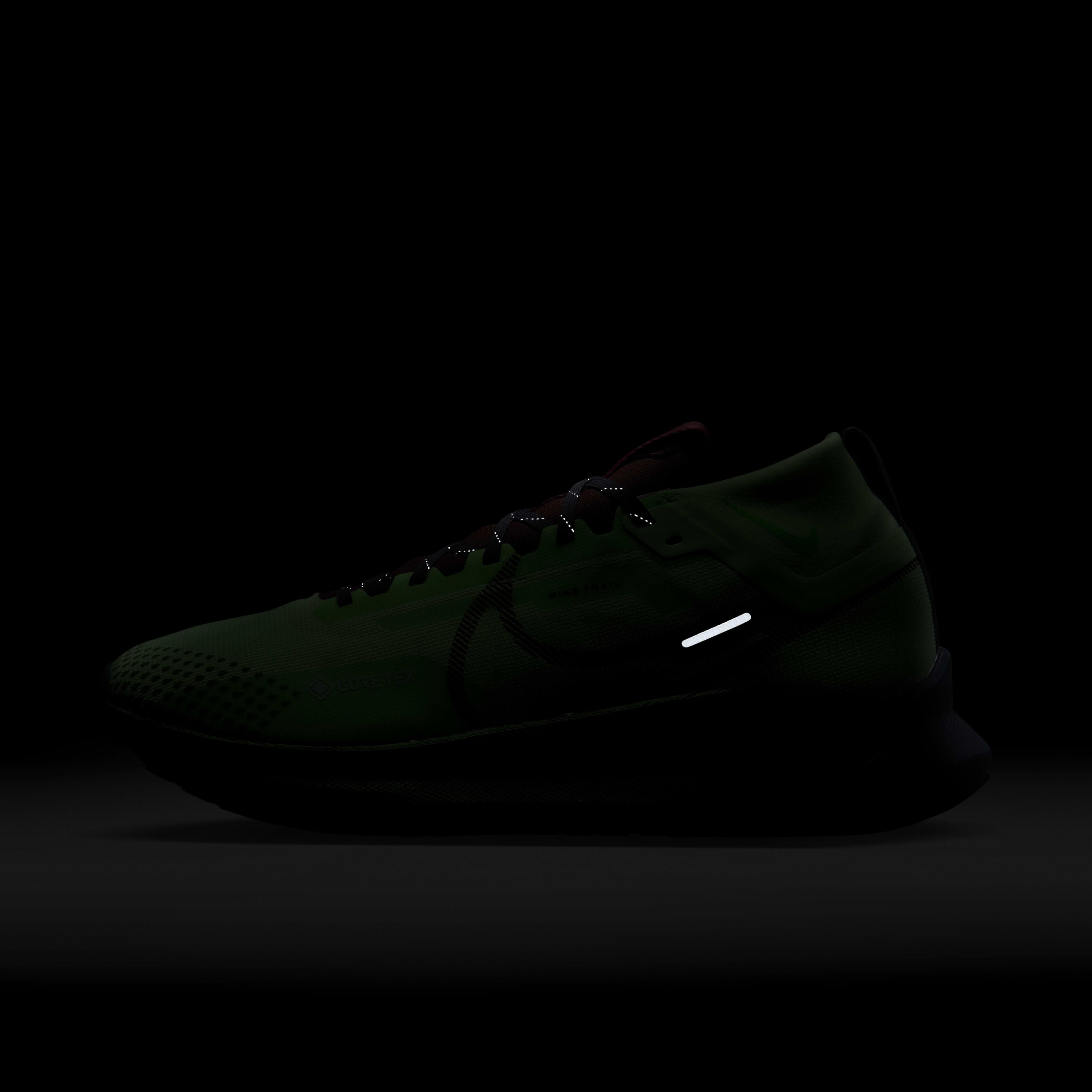 نايكي رياكت بيجاسوس تريل 4 جور-تيكس image number 9