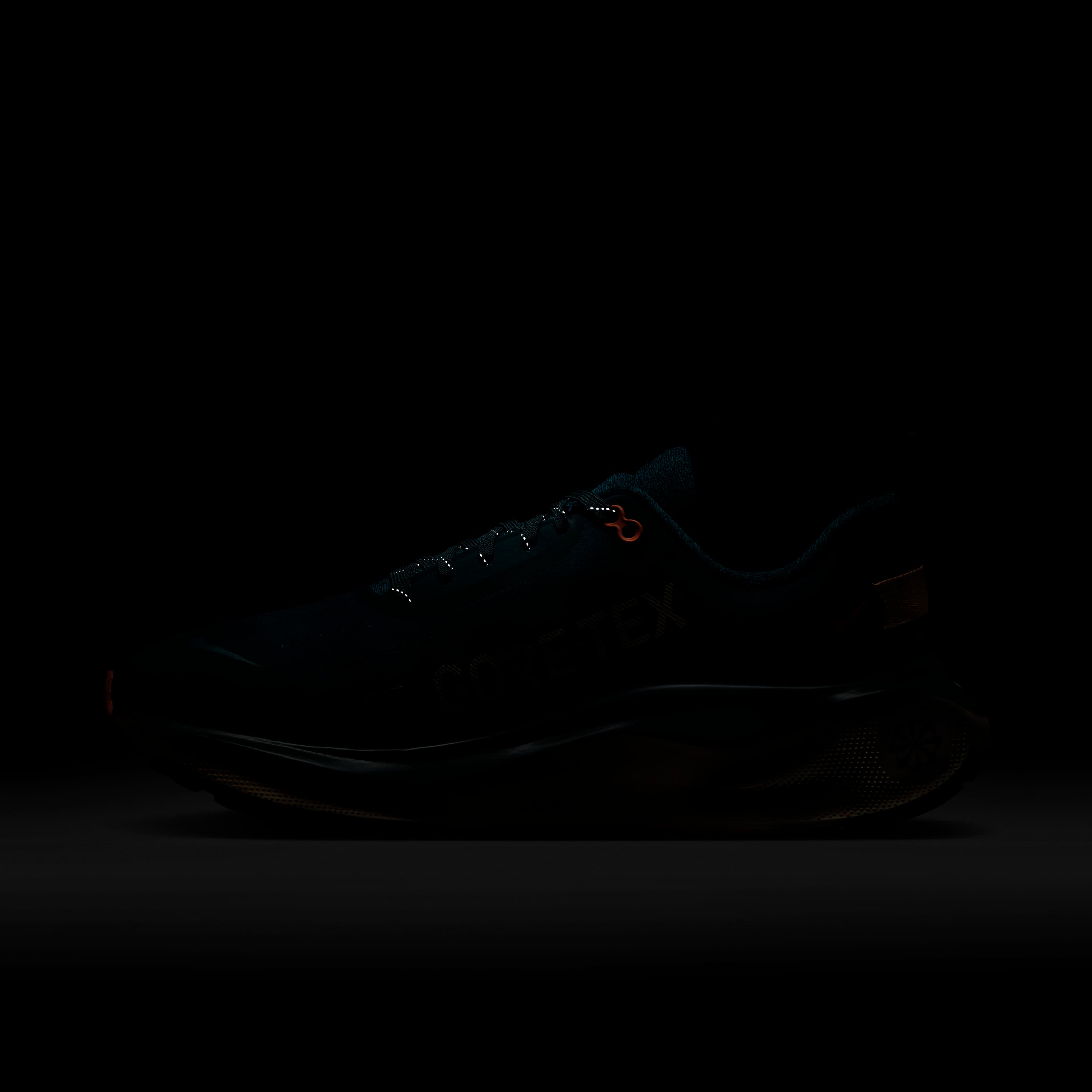Nike InfinityRN 4 GORE-TEX image number 11
