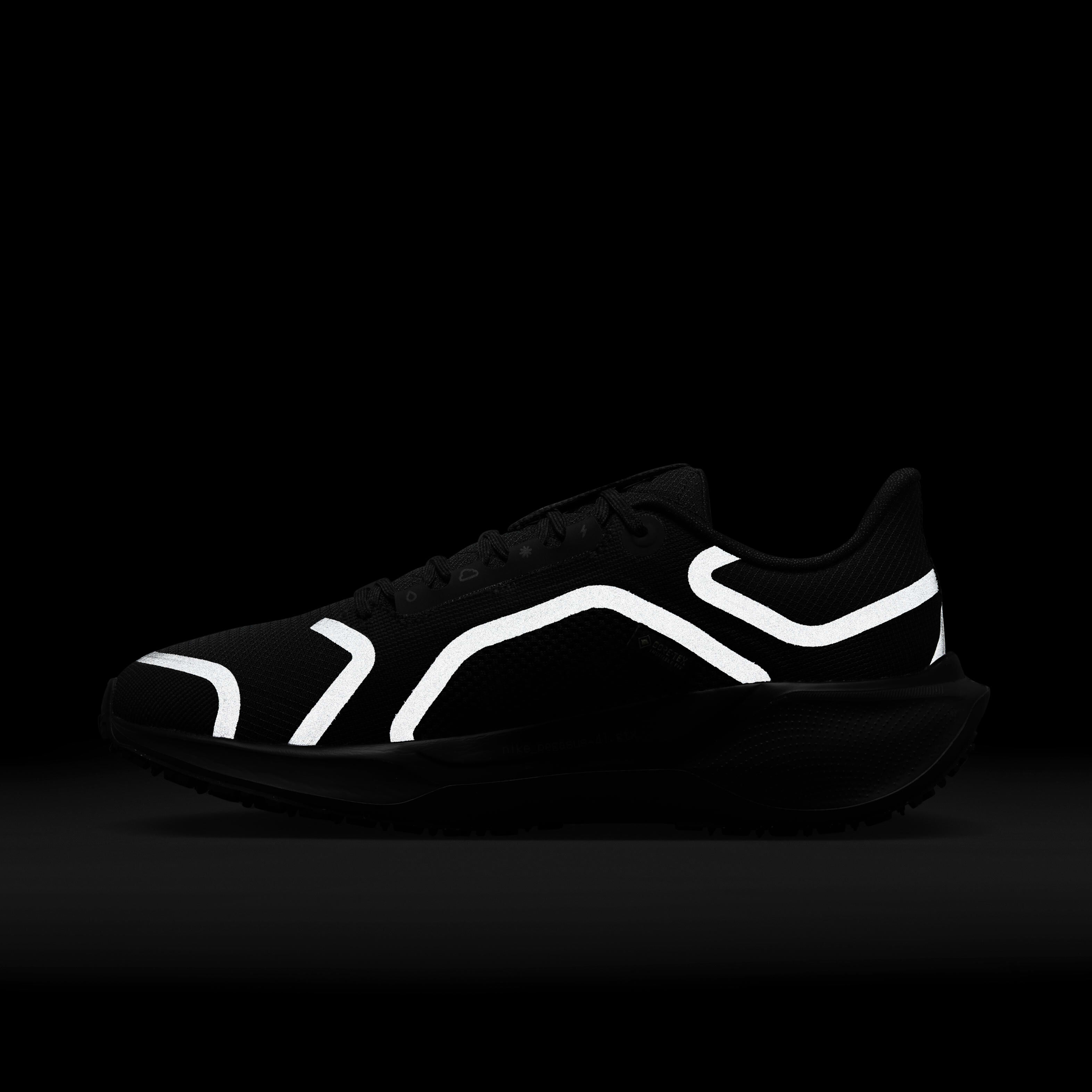 نايكي بيجاسوس 41 جور-تكس image number 11