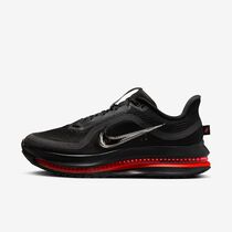 Nike Pegasus Premium