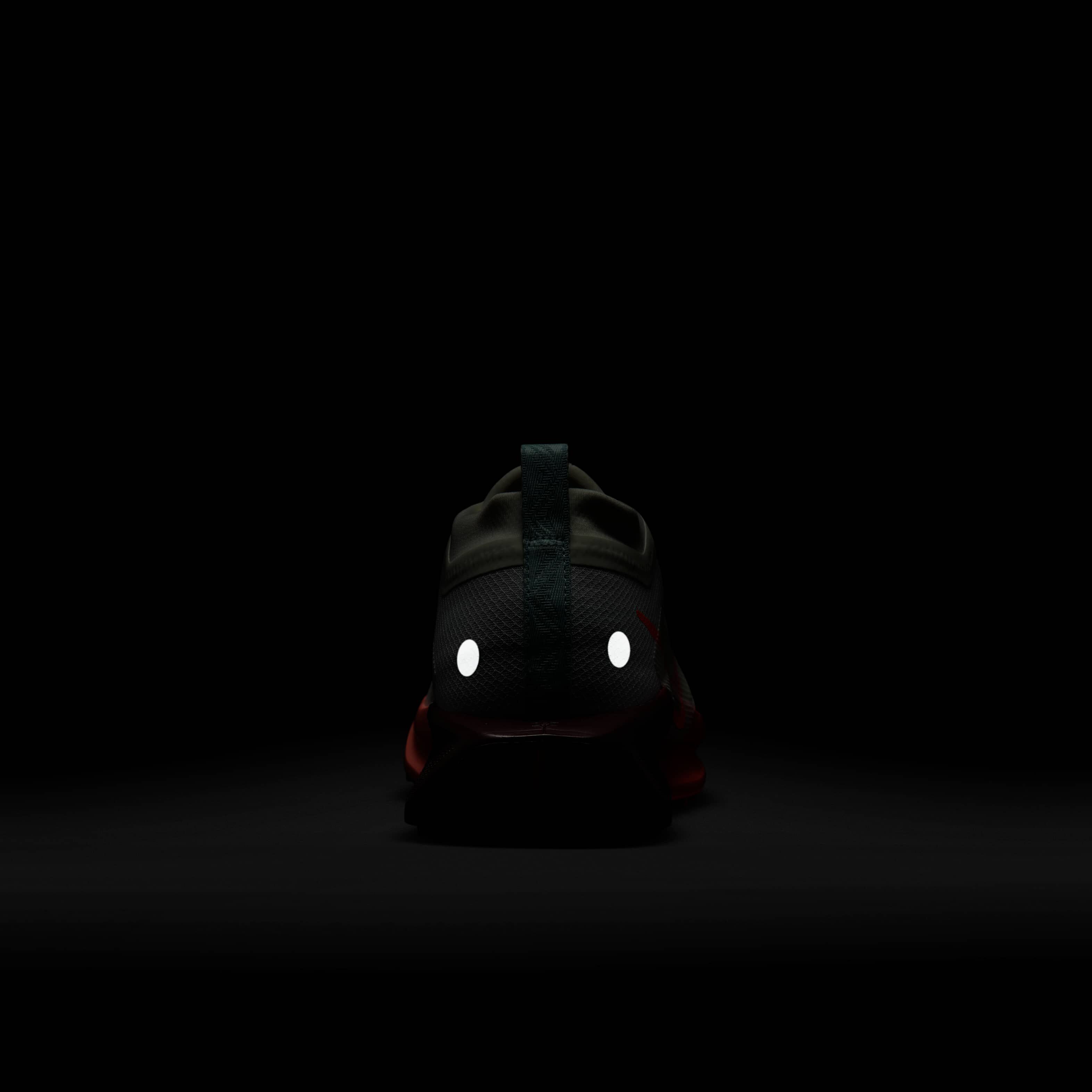 Nike Pegasus Trail 5 GORE-TEX image number 8