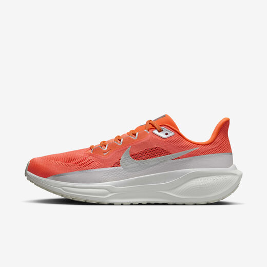 Nike Pegasus 41 PRM
