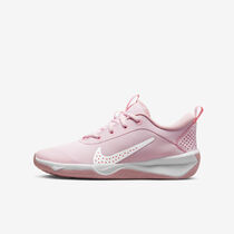 Nike Omni Multi-Court