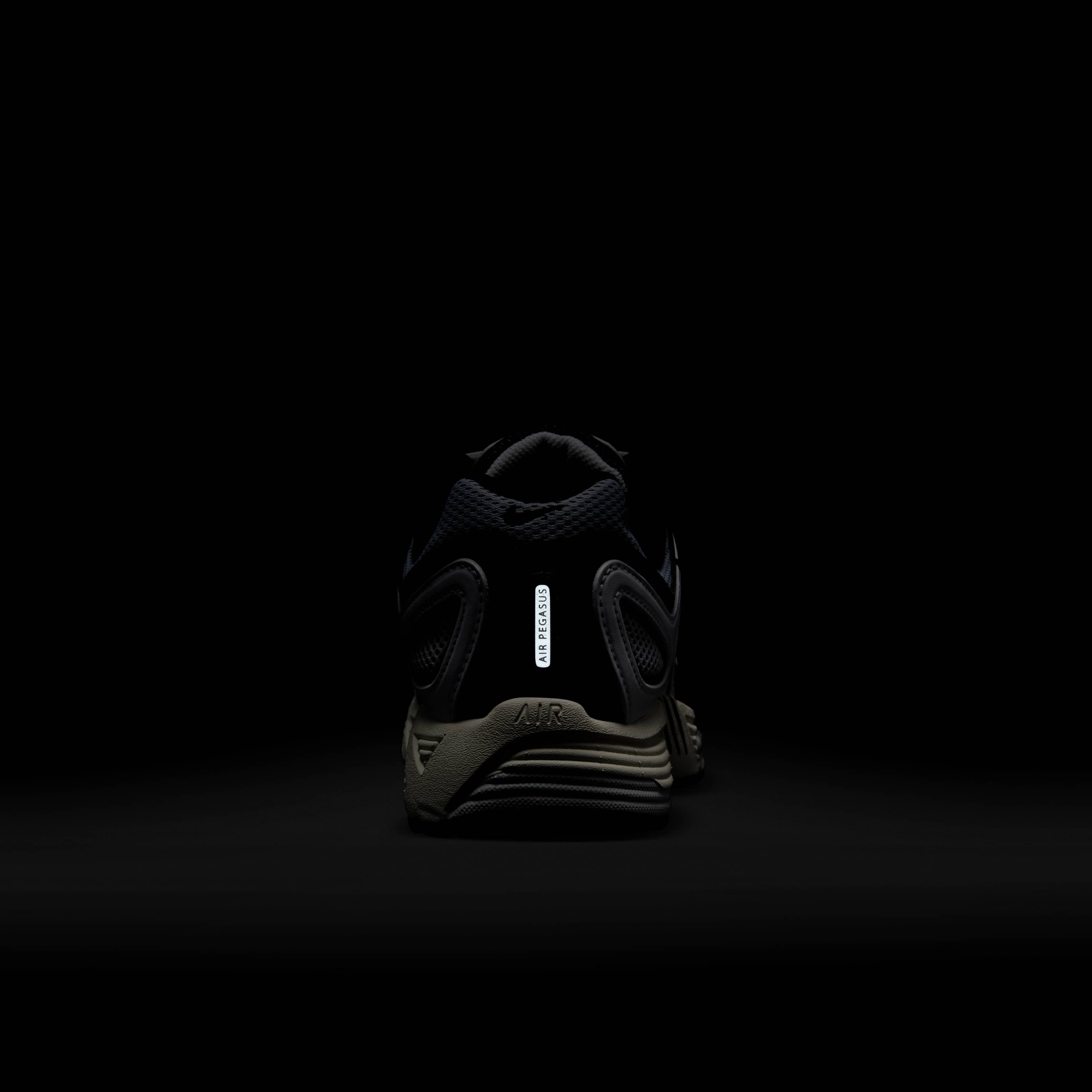 نايكي اير بيجاسوس 2005 image number 9