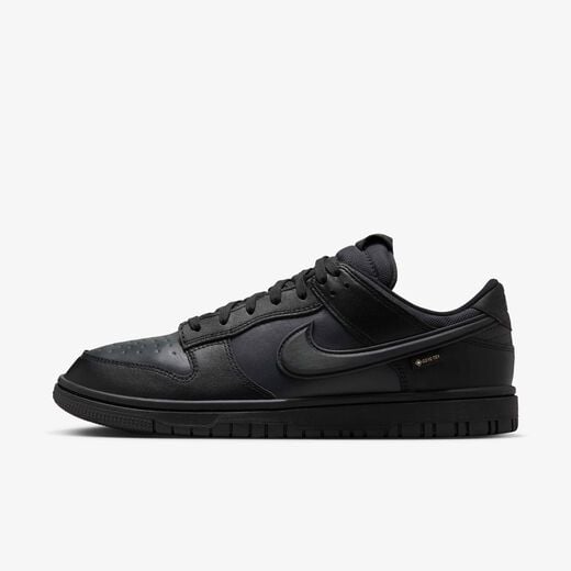 Nike Dunk-Nike, Nike Dunk Low GORE-TEX, Men's Shoes Nike Dunk-Nike, Nike Dunk Low GORE-TEX, Men's Shoes