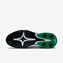Nike Victory Tour 4