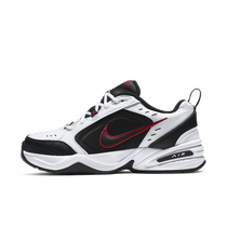 Baskets training air monarch iv on sale training