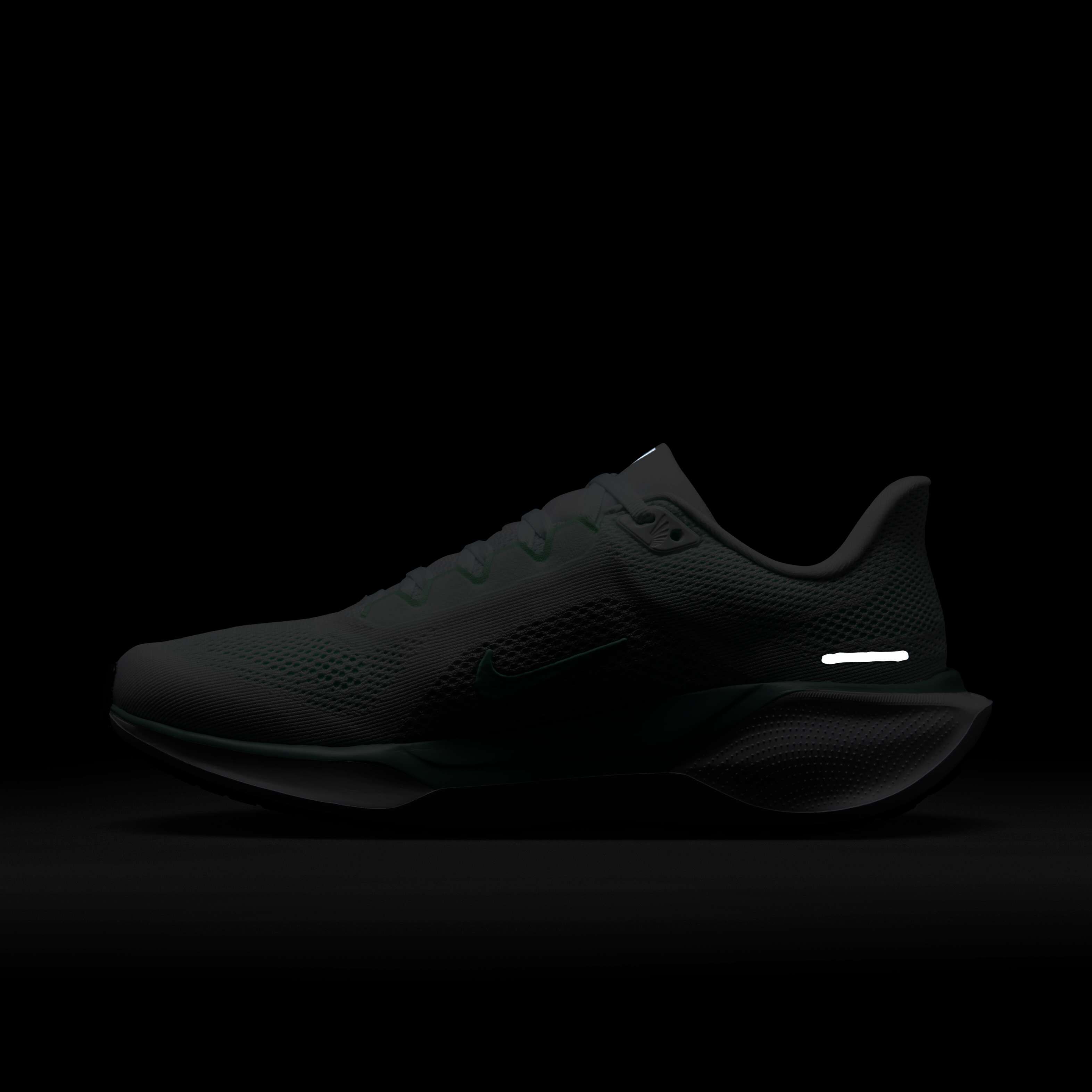 نايكي بيجاسوس 41 image number 11