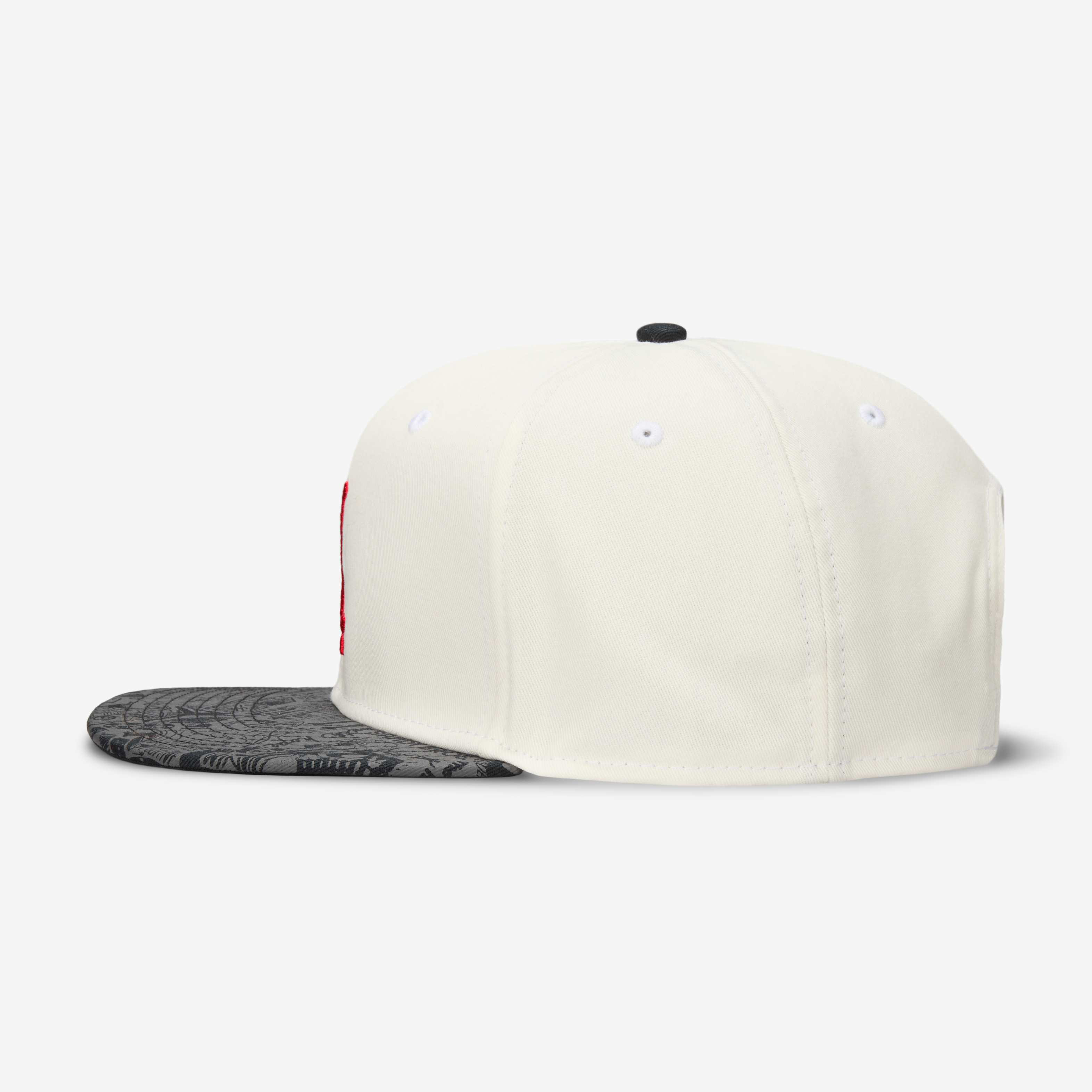 Jordan Pro image number 4